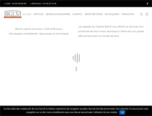 Tablet Screenshot of bglm.fr